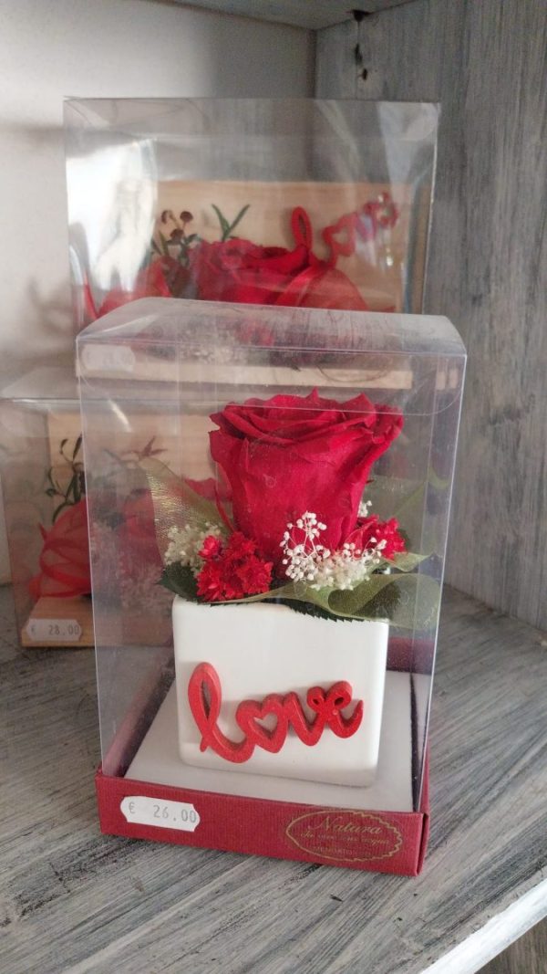 Rosa stabilizzata Rossa con vaso LOVE "Idea Regalo"