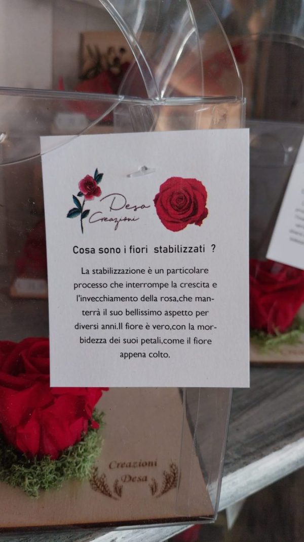 Rosa stabilizzata Rossa "Idea Regalo" - immagine 2